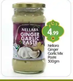 Bigmart NELLARA Garlic Paste offer