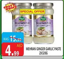 United Hypermarket MEHRAN Garlic Paste offer
