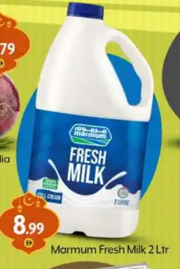 Bigmart MARMUM Fresh Milk offer