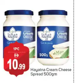 Talal Market HAYATNA Cream Cheese offer