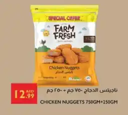 Istanbul Supermarket FARM FRESH Chicken Nuggets offer