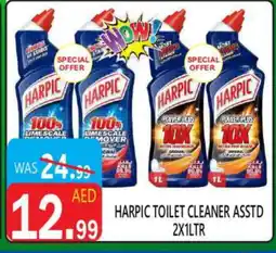 United Hypermarket HARPIC Toilet / Drain Cleaner offer
