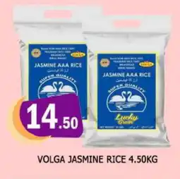 Al Madina VOLGA Jasmine Rice offer
