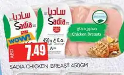Al Madina SADIA Chicken Breast offer