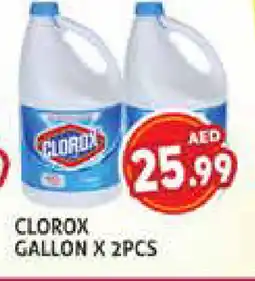 Palm Centre CLOROX Bleach offer