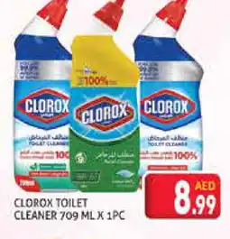 Palm Centre CLOROX Toilet / Drain Cleaner offer