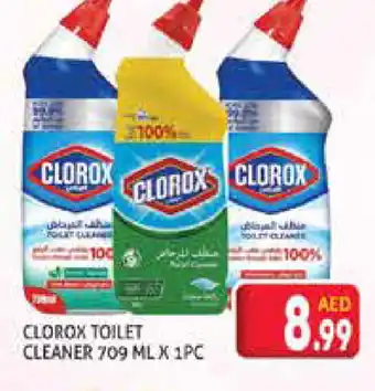 Palm Centre CLOROX Toilet / Drain Cleaner offer