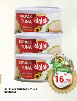 Kerala Hypermarket AL ALALI Tuna - Canned offer