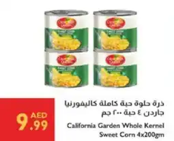 Istanbul Supermarket California garden whole kernel sweet corn offer