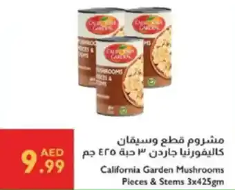 Istanbul Supermarket California garden mushrooms pieces & stems offer