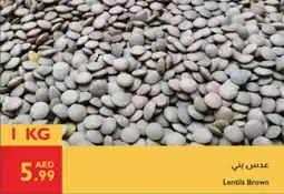 Istanbul Supermarket Lentils Brown offer