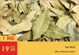 Istanbul Supermarket Ghar (warak) leaves offer