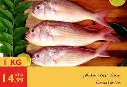 Istanbul Supermarket Sulthan Flat Fish offer