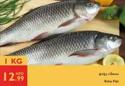 Istanbul Supermarket Rohu Fish offer