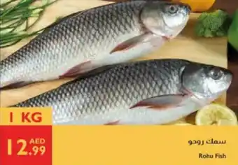 Istanbul Supermarket Rohu Fish offer