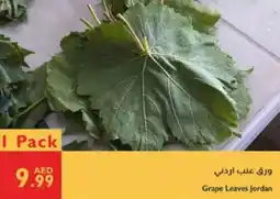 Istanbul Supermarket Grape Leaves offer