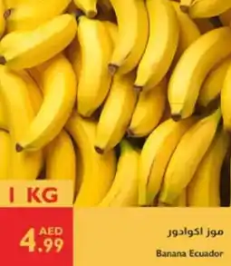 Istanbul Supermarket Banana Ecuador offer