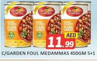 Mango Hypermarket LLC CALIFORNIA Fava Beans offer