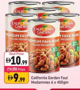 Shaklan CALIFORNIA GARDEN Fava Beans offer