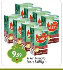 Bigmart AL AIN Tomato Paste offer