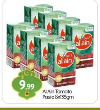Bigmart AL AIN Tomato Paste offer