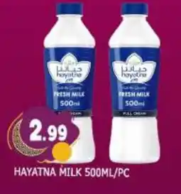 Al Madina HAYATNA Fresh Milk offer