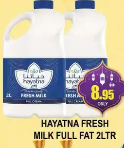 Al Madina HAYATNA Full Cream Milk offer