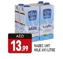 Al Madina NADEC Long Life / UHT Milk offer