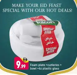Shaklan FALCON Plates offer