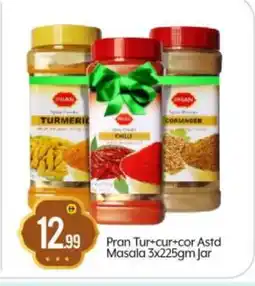 Bigmart PRAN Spices / Masala offer