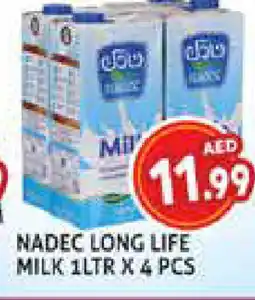 Palm Centre NADEC Long Life / UHT Milk offer