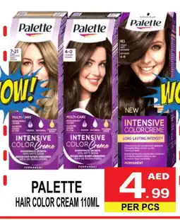 Friday Center PALETTE Hair Cream offer