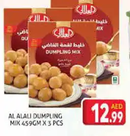 Palm Centre AL ALALI Dumpling Mix offer