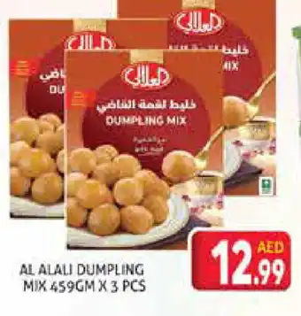 Palm Centre AL ALALI Dumpling Mix offer