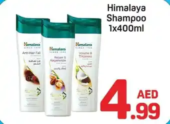 Day To Day Himalaya Shampoo offer