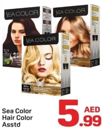 Day To Day Sea Color Hair Color Asstd offer