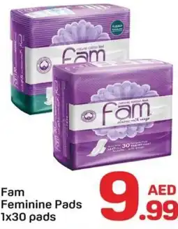 Day To Day Fam Feminine Pads offer