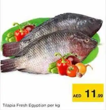 Nesto Tilapia Fresh Egyptian offer