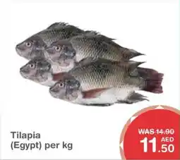 Choithrams Tilapia offer