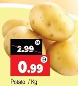 Al Madina Potato offer