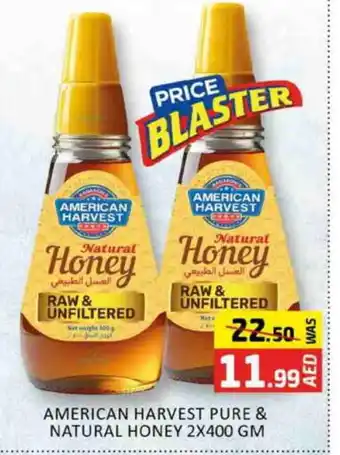 Al Madina AMERICAN HARVEST Honey offer