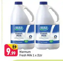 Shaklan MARMUM Fresh Milk offer