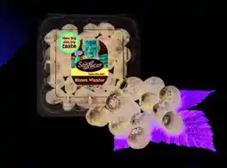 Union Coop Sanlucar Blueberry Sekoya Jumbo Tunisia offer
