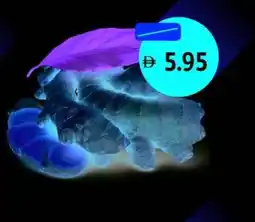 Union Coop Ginger offer