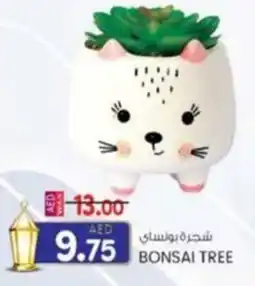 KM Trading bonsai tree offer