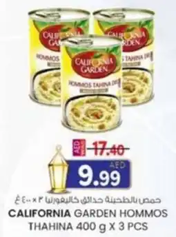 KM Trading California garden hommos thahina offer
