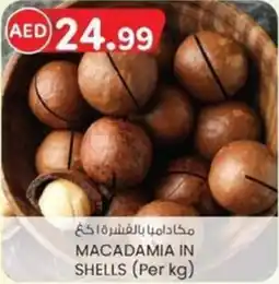 KM Trading Macadamia in shells offer