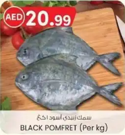 KM Trading Black pomfret offer