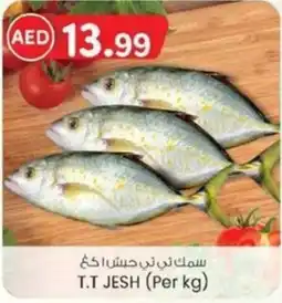KM Trading T.t jesh offer
