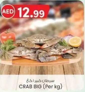 KM Trading Crab big offer
